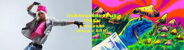 бошки Абинск