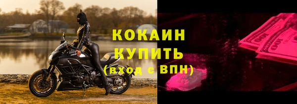 прущие грибы Абаза