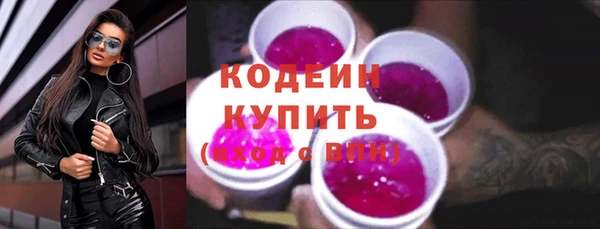 прущие грибы Абаза