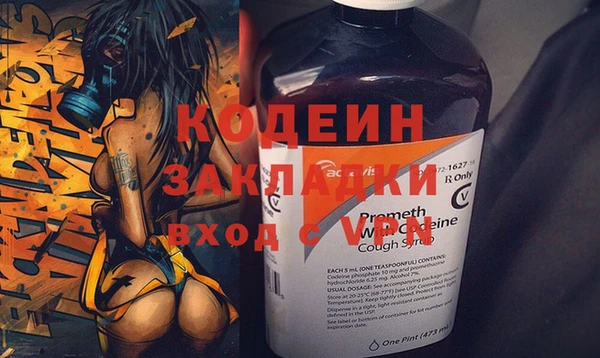 прущие грибы Абаза