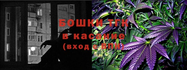 прущие грибы Абаза
