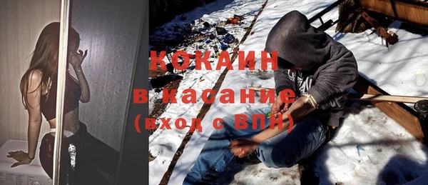 прущие грибы Абаза