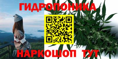 стафф Обнинск