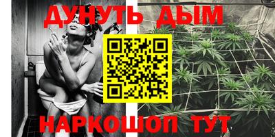 стафф Обнинск