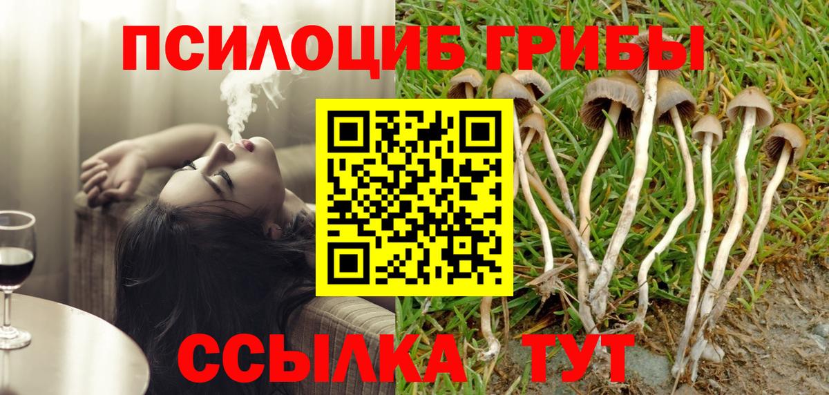 где найти наркотики  Вход с VPN  Галлюциногенные грибы ЛСД  Нижнекамск  Псилоцибиновые грибы Psilocybe 