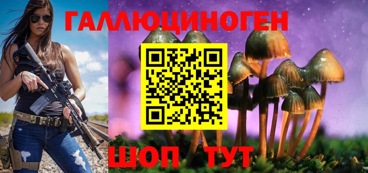 Нижнекамск  Псилоцибиновые грибы мицелий  Вход с VPN  Псилоцибиновые грибы Magic Shrooms 