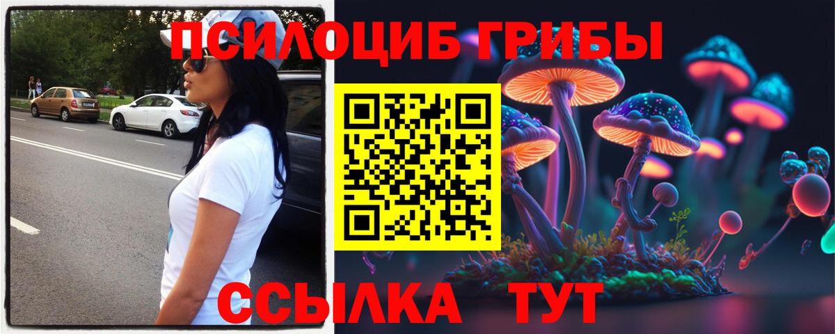 Галлюциногенные грибы Psilocybe Нижнекамск