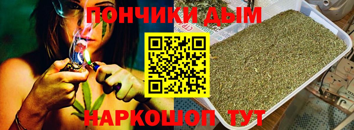 Канабис семена  Вход с VPN  Нижнекамск  Канабис планчик  Конопля SATIVA & INDICA 